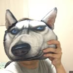 Vincent Cai - @vince_cq - Instagram
