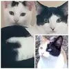 Vincent Carpenter - @vincent.carpenter11 - TikTok