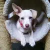 Vince Casella - @vince.casella - TikTok