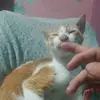 Cassano Vincent - @cassano.vincent - TikTok