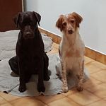 Vincent Clement - @vincent.clement.73932 - Instagram