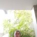 Vincent Conde - Facebook