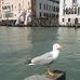 Vincent Declercq - Facebook