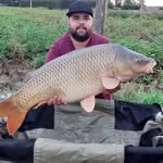 Vincent Declercq - @carp_clerqi - Instagram