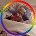 Vincent DiFilippo - Facebook