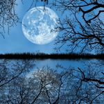 Astrologer Vincent Delaney - @astrologervincentdelaney - Instagram
