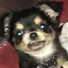 Vincent Delaney - @vincent.delaney - TikTok