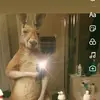 Vincent Dell - @vincentdell29 - TikTok