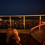 Vincent Digiacomo - @napptymeoriginal - Instagram