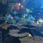Vincent Digiorgio - @digiorgio663 - Instagram