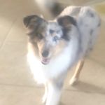 Vincenth Dimeglio - @dimegliovincenth_ - Instagram
