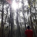 V. Ditta Agung Wijaya - @vincentiusdittaagung - Instagram