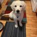 Vincent Dodge - Facebook