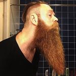 Vincent Dolan - @vincentdolan5 - Instagram