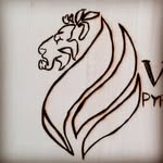 Vincent Dominguez - @vincent_burnz - Instagram