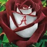 Vince Dooley - @dooleyvp123 - Instagram