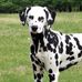 Vince Doolittle - Facebook
