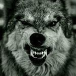 Vincent Downs - @viktornewman22 - Instagram