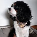 Vincent Drake - @vincentdrake3218 - Instagram