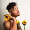 Vincent Drake - @vibrant.alchemist - TikTok
