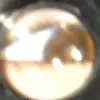 vincentdrolet - @leovin28 - TikTok
