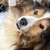 Vincent P Duffy - Facebook