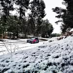 Vincent Dumais - @dumais6531 - Instagram