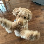 Vincent Dumais - @_vincent.dumais_ - Instagram
