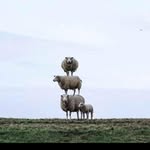 Vincent Durou - @durouvincent - Instagram