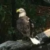 Vincent Eads - @vincent.eads - TikTok