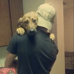 Vincent_Eason - @vincent_eason16 - Instagram