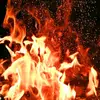 Vincent Ee - @vincent.ee7 - TikTok