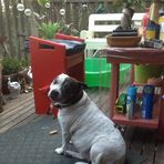 Vincent Ellison - Facebook