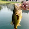 vincentemrick8 - @bassbarracuda - TikTok