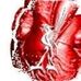 Vince Enright - Facebook