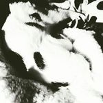 Vincent Ernst - @vincent_hd_ - Instagram