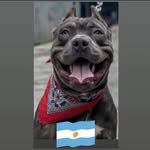 Vincent Escobar - @vincentescobar07 - Instagram