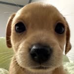 Vincent Paul Estacio - @estaciovincentpaul - Instagram