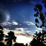 Vincent Ewings - @vincentewings - Instagram