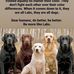 Vince Failla - Facebook