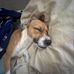 Vincent LaRue Faison - Facebook