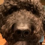 Vincent Farmer - @vincent_farmer9 - Instagram