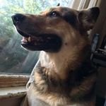 Vincent Farrell - @sknnie1 - Instagram