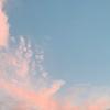 Vincent Farris581 - @vincentfarris581 - TikTok