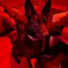 VincentFields - @wilmetpsph6 - TikTok
