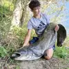Vincen🇫🇷68 - @vincent_fishing - TikTok