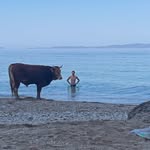 Vincent - @vincent_fish_ - Instagram