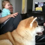 Vincent Forand - @vincentforand - Instagram