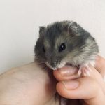 Vincent Forest Lucky - @forest.lucky - Instagram