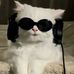 France Vincent Agbuya - Facebook